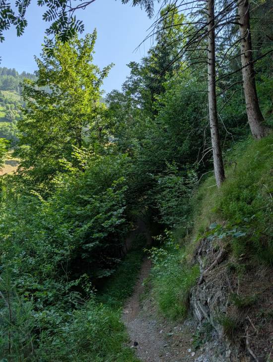 pxl_20250622_082143564.jpg pxl_20250622_082143564.jpg