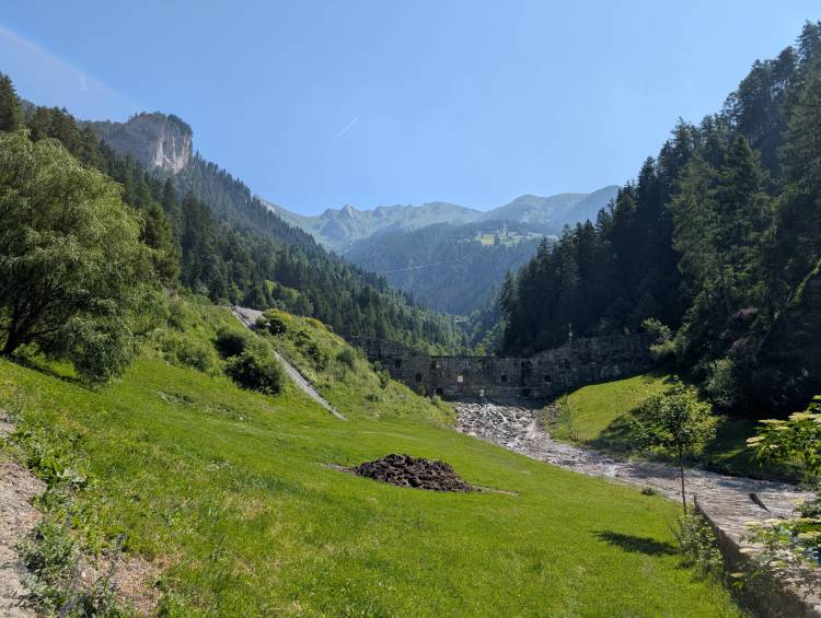 pxl_20250622_083846982.mp.jpg pxl_20250622_083846982.mp.jpg