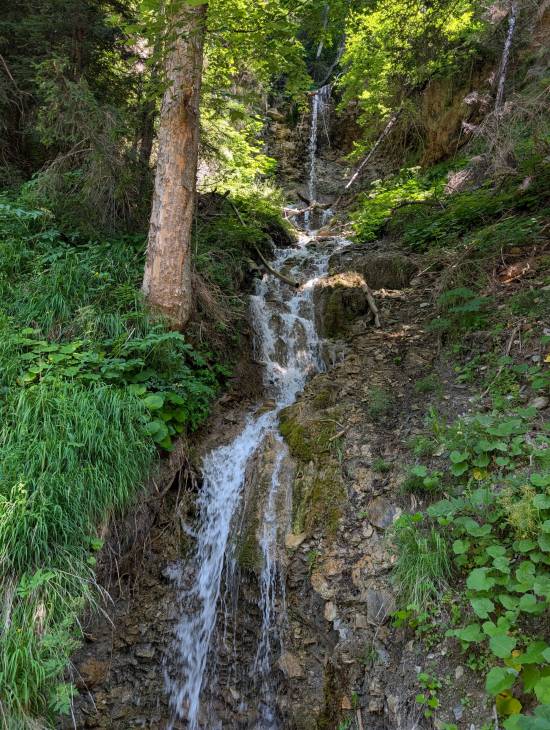 pxl_20250622_085133894.mp.jpg pxl_20250622_085133894.mp.jpg