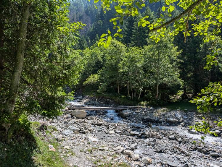 pxl_20250622_090940380.jpg pxl_20250622_090940380.jpg