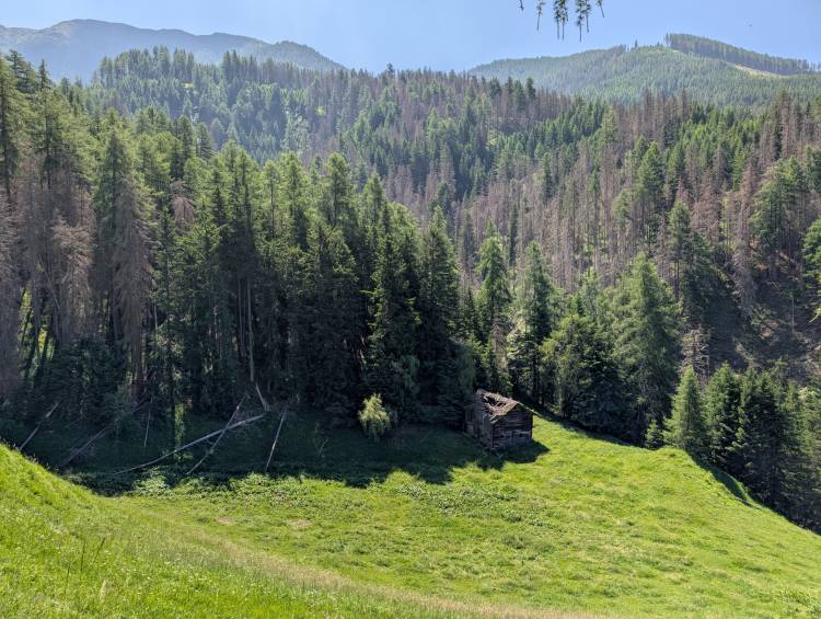 pxl_20250622_093526929.jpg pxl_20250622_093526929.jpg