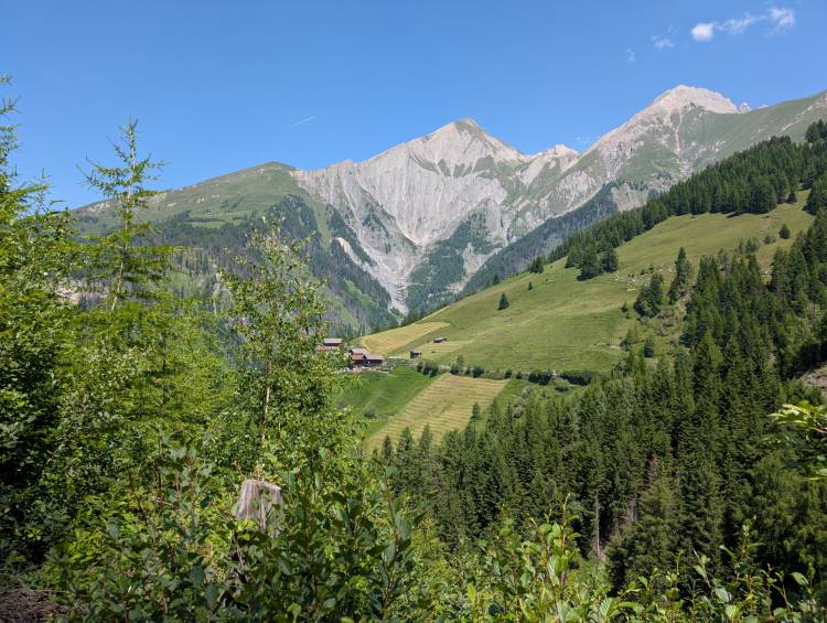 pxl_20250622_101829726.jpg pxl_20250622_101829726.jpg