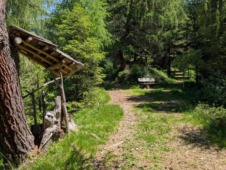 pxl_20250622_105021342.jpg pxl_20250622_105021342.jpg