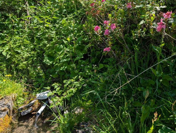 pxl_20250622_110952243.mp.jpg pxl_20250622_110952243.mp.jpg