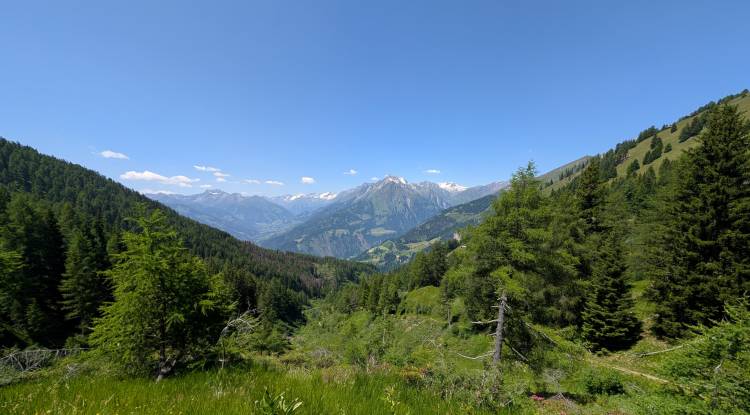 pxl_20250622_111255595.jpg pxl_20250622_111255595.jpg