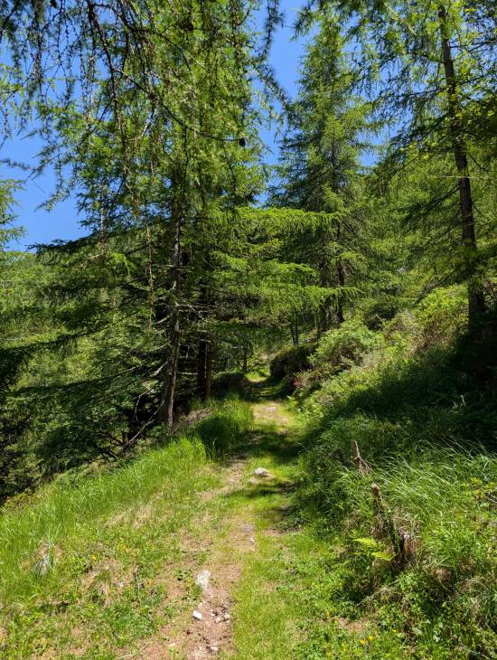 pxl_20250622_112433593.jpg pxl_20250622_112433593.jpg