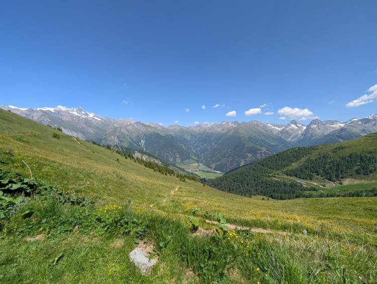 pxl_20250622_130124741.jpg pxl_20250622_130124741.jpg