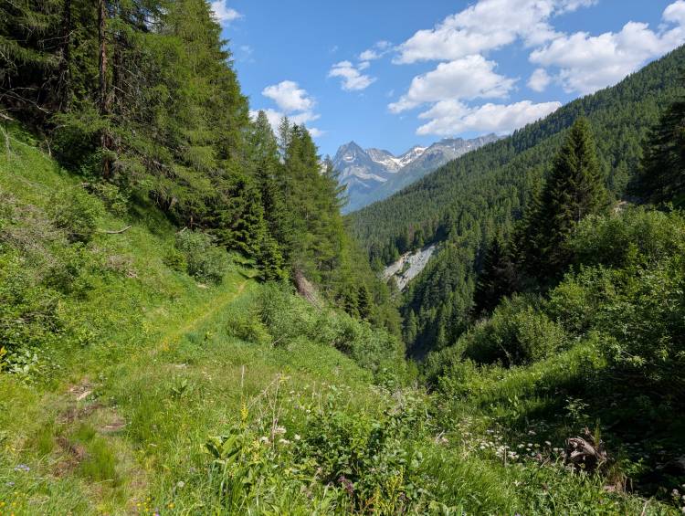 pxl_20250622_133914728.jpg pxl_20250622_133914728.jpg