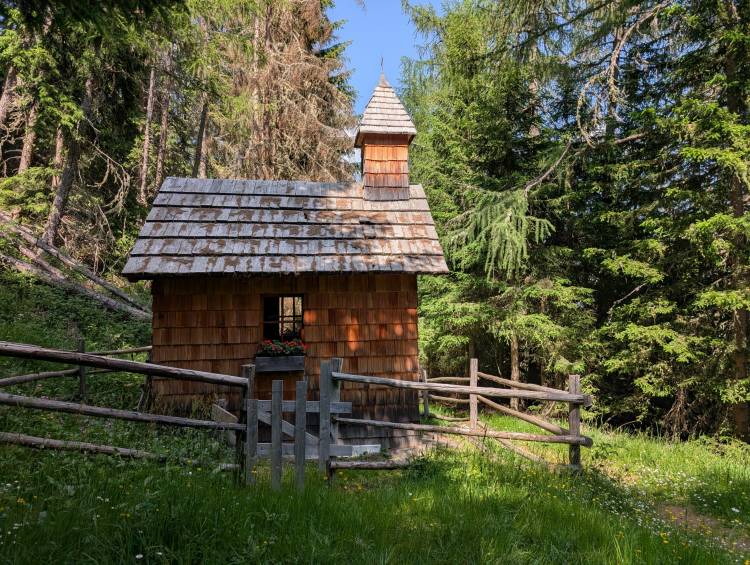 pxl_20250622_134709351.jpg pxl_20250622_134709351.jpg