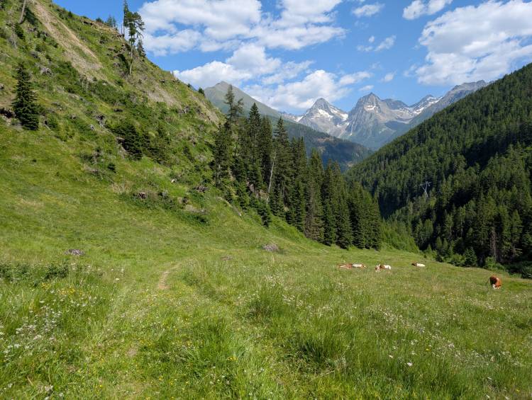 pxl_20250622_140309219.jpg pxl_20250622_140309219.jpg