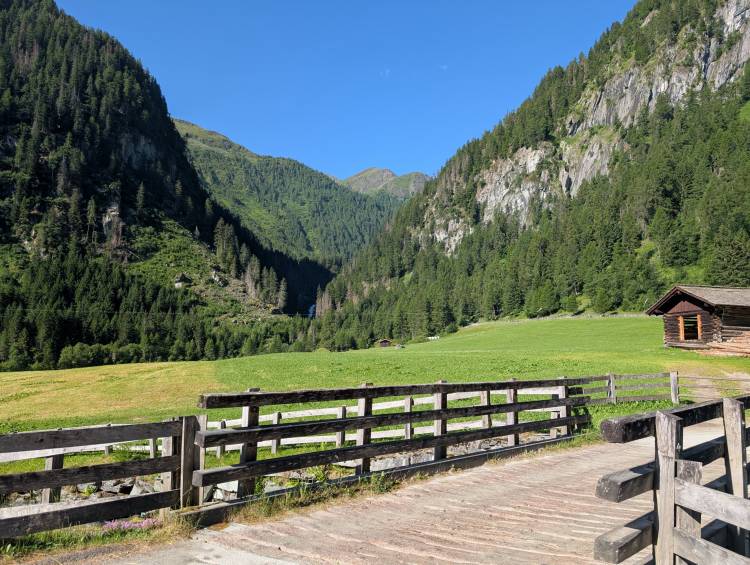 pxl_20250624_065027851.jpg pxl_20250624_065027851.jpg