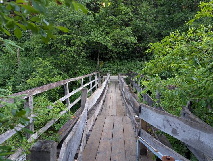 pxl_20250624_071038856.mp.jpg pxl_20250624_071038856.mp.jpg