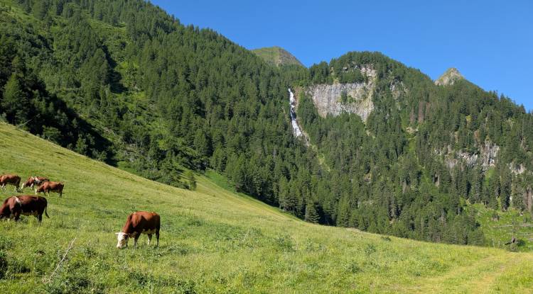 pxl_20250624_072052611.jpg pxl_20250624_072052611.jpg