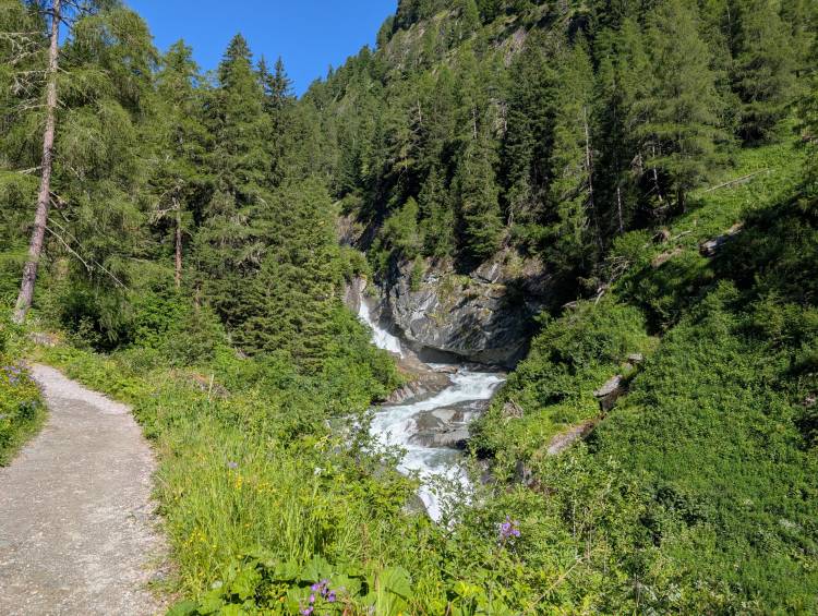 pxl_20250624_073319623.jpg pxl_20250624_073319623.jpg