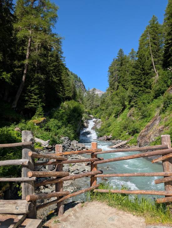 pxl_20250624_074727073.jpg pxl_20250624_074727073.jpg