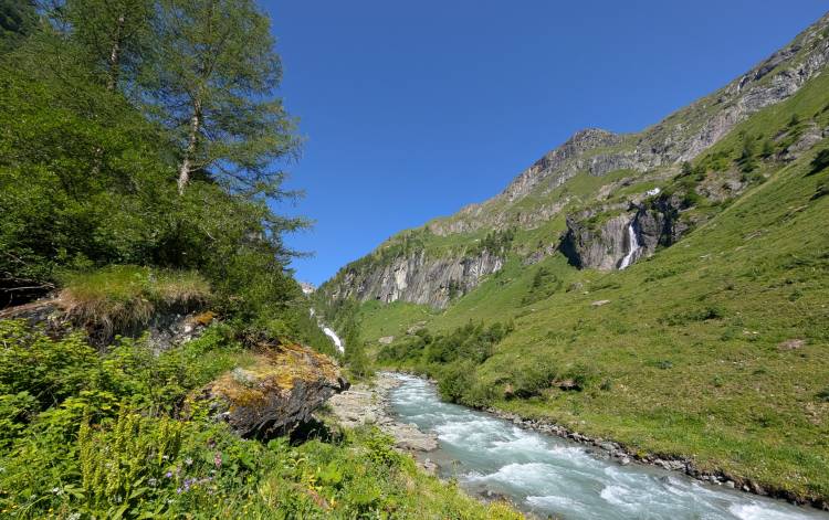 pxl_20250624_075525164.jpg pxl_20250624_075525164.jpg