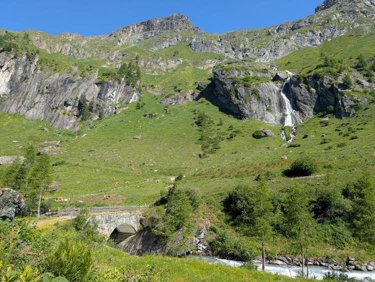 pxl_20250624_075927007.jpg pxl_20250624_075927007.jpg