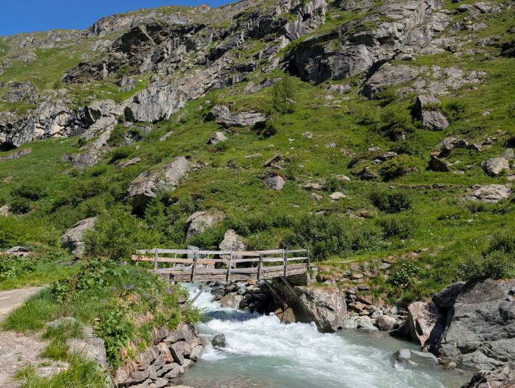 pxl_20250624_084046363.mp.jpg pxl_20250624_084046363.mp.jpg