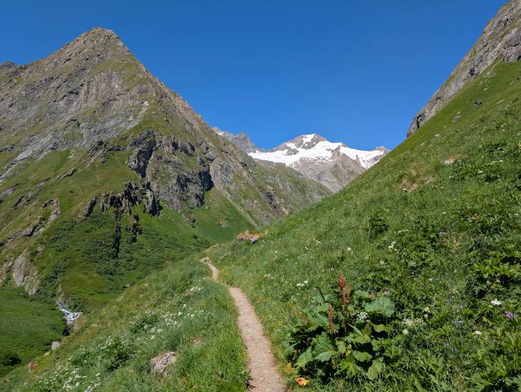 pxl_20250624_091442728.jpg pxl_20250624_091442728.jpg