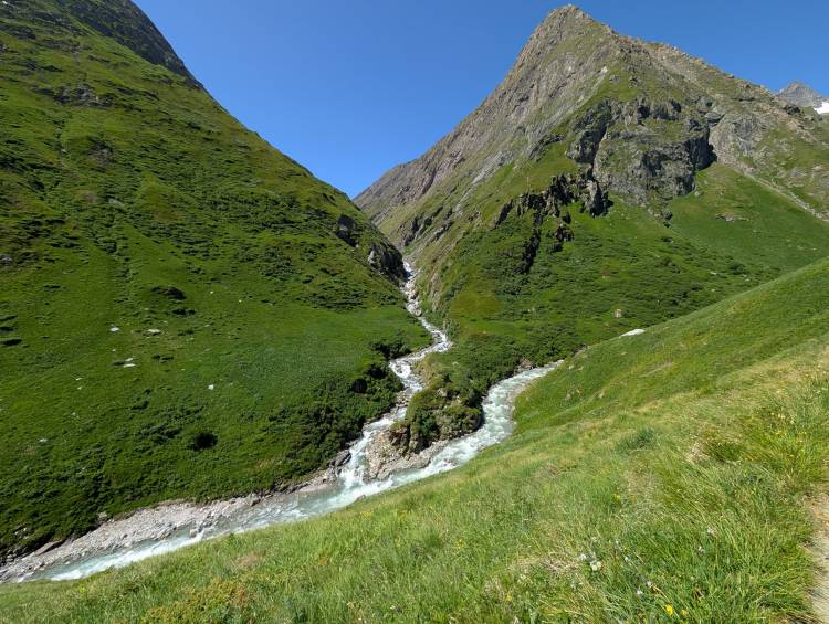 pxl_20250624_091716901.jpg pxl_20250624_091716901.jpg