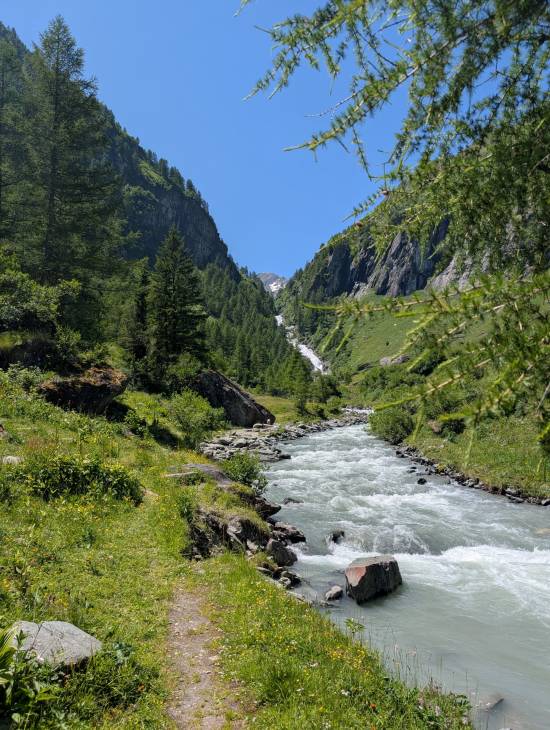 pxl_20250624_113528639.mp.jpg pxl_20250624_113528639.mp.jpg