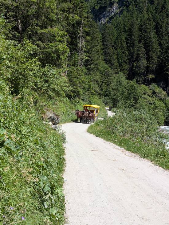 pxl_20250624_115839580.jpg pxl_20250624_115839580.jpg