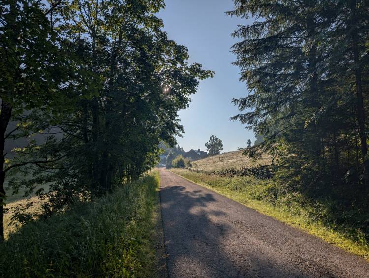 pxl_20250705_051114677.jpg pxl_20250705_051114677.jpg