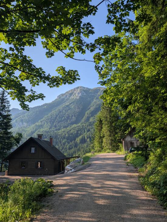 pxl_20250705_051431210.jpg pxl_20250705_051431210.jpg