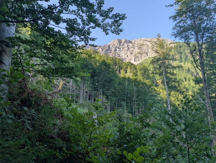 pxl_20250705_055939372.jpg pxl_20250705_055939372.jpg