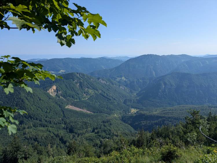 pxl_20250705_065309422.jpg pxl_20250705_065309422.jpg