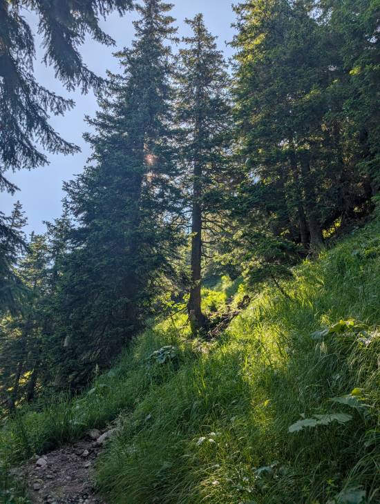 pxl_20250705_070608011.jpg pxl_20250705_070608011.jpg