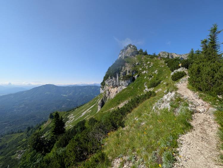 pxl_20250705_072309746.jpg pxl_20250705_072309746.jpg