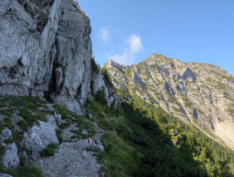 pxl_20250705_073711950.jpg pxl_20250705_073711950.jpg