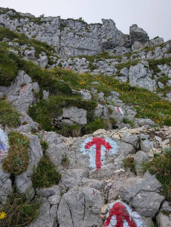 pxl_20250705_081807285.jpg pxl_20250705_081807285.jpg