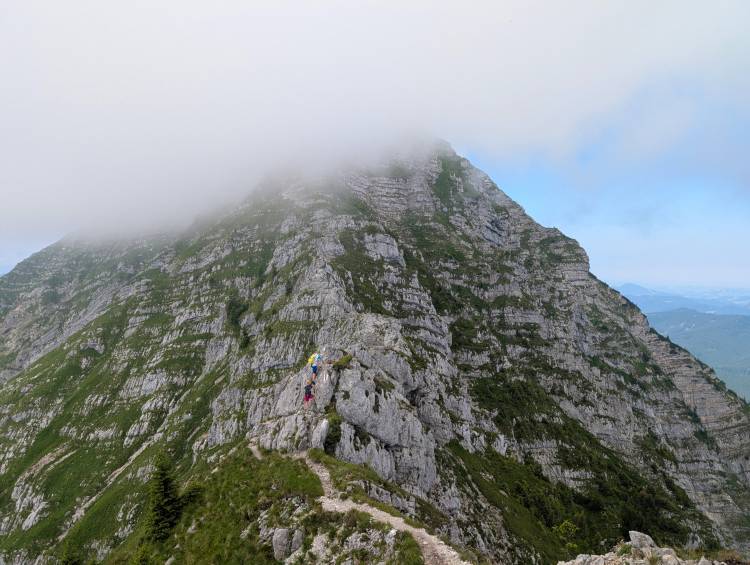 pxl_20250705_082336388.jpg pxl_20250705_082336388.jpg