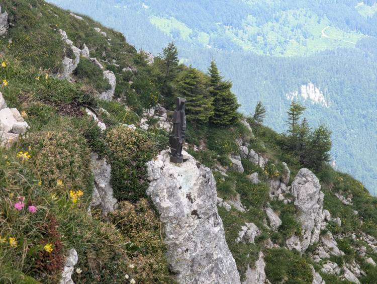 pxl_20250705_085831082.jpg pxl_20250705_085831082.jpg