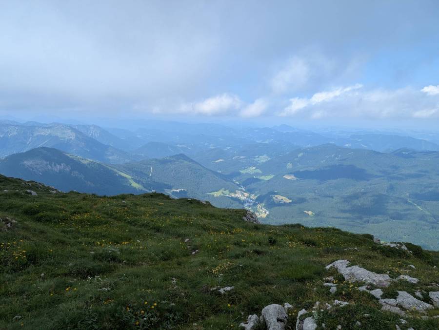 pxl_20250705_091719790.jpg