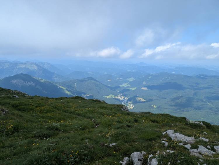 pxl_20250705_091719790.jpg pxl_20250705_091719790.jpg