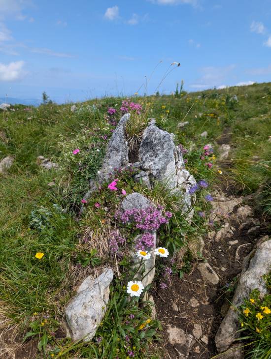 pxl_20250705_095726936.jpg pxl_20250705_095726936.jpg