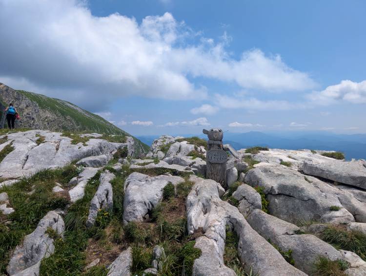 pxl_20250705_095904077.jpg pxl_20250705_095904077.jpg