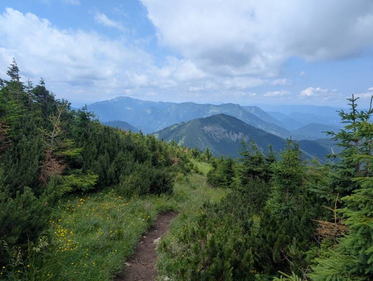 pxl_20250705_101642915.jpg pxl_20250705_101642915.jpg