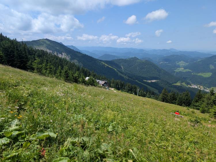 pxl_20250705_103610787.jpg pxl_20250705_103610787.jpg