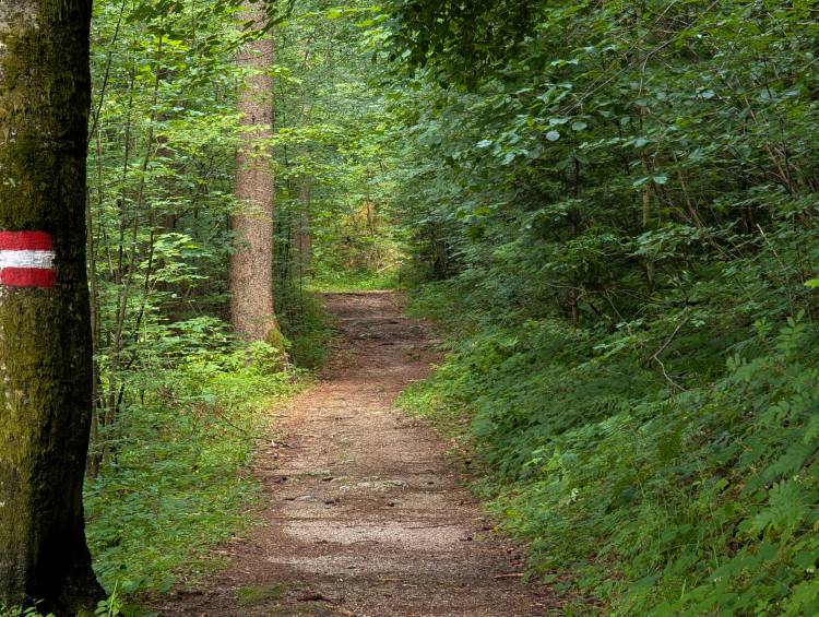 pxl_20250705_114417802.jpg pxl_20250705_114417802.jpg