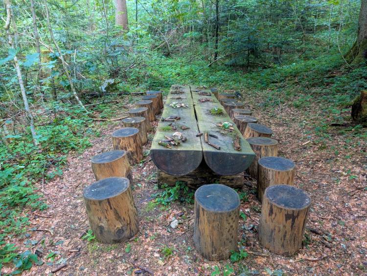 pxl_20250705_114615741.jpg pxl_20250705_114615741.jpg