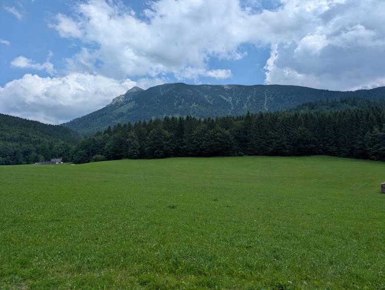 pxl_20250705_115600150.jpg pxl_20250705_115600150.jpg