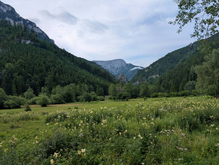 pxl_20250712_055534082.mp.jpg pxl_20250712_055534082.mp.jpg