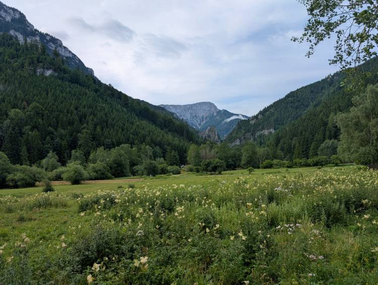 pxl_20250712_055534082.mp.jpg pxl_20250712_055534082.mp.jpg