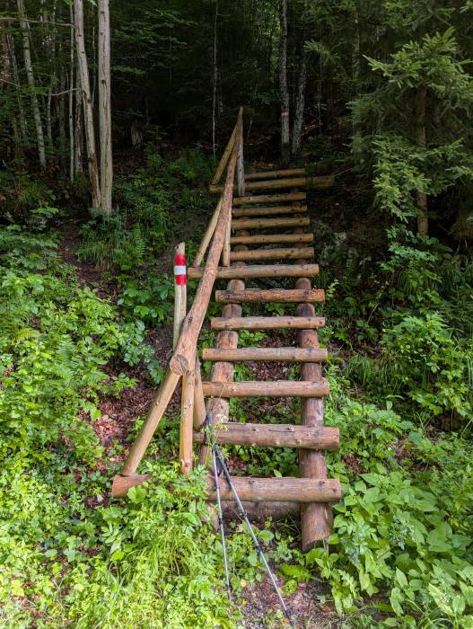 pxl_20250712_062331377.jpg pxl_20250712_062331377.jpg