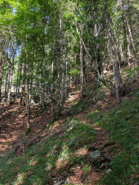 pxl_20250712_065443826.jpg pxl_20250712_065443826.jpg