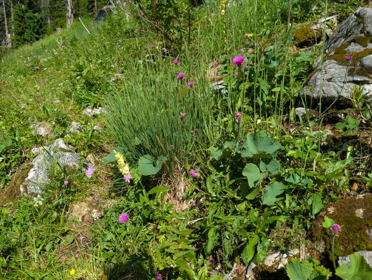 pxl_20250712_074804900.jpg pxl_20250712_074804900.jpg